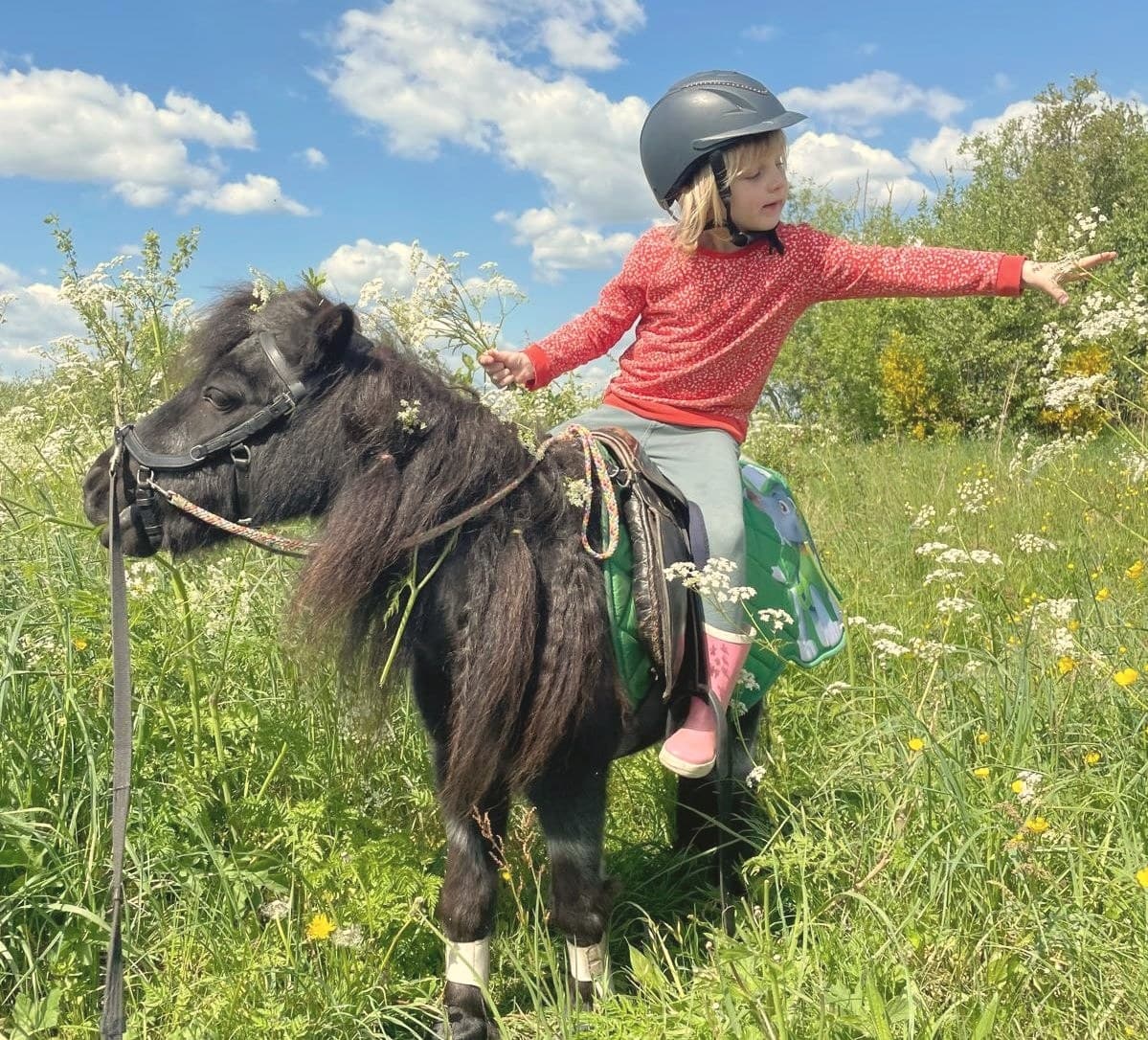 Meisje op shetlandpony Prins in een bloemenwei bij De Weperstal