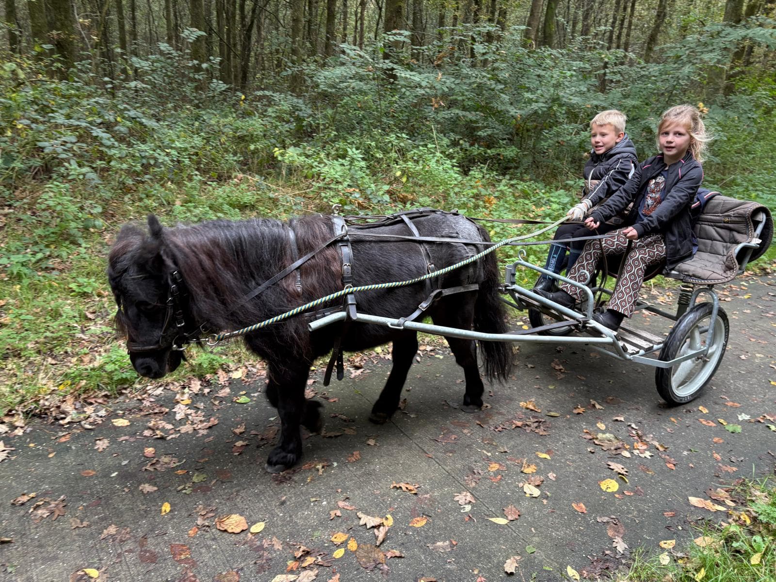 Foto 2 van Prins